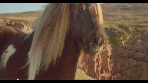 Three Dancing Pony